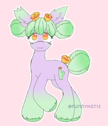 Size: 1128x1313 | Tagged: safe, artist:funnyhat12, imported from derpibooru, oc, oc only, cactus pony, earth pony, original species, plant pony, pony, adoptable, cactus, simple background, solo