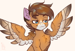 Size: 3260x2200 | Tagged: safe, artist:falafeljake, imported from derpibooru, oc, oc only, oc:barnstorme, pegasus, pegasus oc, spread wings, wings