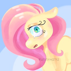 Size: 971x968 | Tagged: safe, artist:funnyhat12, imported from derpibooru, fluttershy, pony, bust, crying, gradient background, portrait, solo