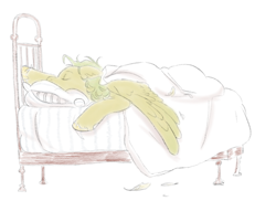 Size: 640x466 | Tagged: safe, artist:prunesart, imported from derpibooru, pegasus, bed, feather, sleeping, solo