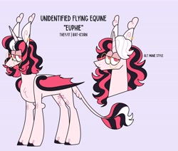 Size: 4096x3469 | Tagged: safe, artist:fizzlefer, imported from derpibooru, oc, oc only, oc:euphie, alicorn, bat pony, bat pony alicorn, pony, bat wings, glasses, horn, reference sheet, simple background, solo, wings