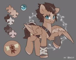 Size: 2500x2000 | Tagged: safe, artist:shelti, imported from derpibooru, oc, oc only, pegasus, pony, blaze (coat marking), coat markings, colored hooves, colored pupils, commission, countershading, facial markings, gray background, happy, looking at you, male, raised hoof, reference sheet, scar, simple background, smiling, stallion, standing, strap, wings