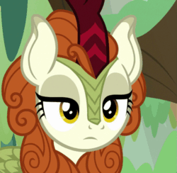 Size: 661x645 | Tagged: safe, imported from derpibooru, screencap, autumn blaze, kirin, season 8, sounds of silence, spoiler:s08, animated, awwtumn blaze, blinking, cropped, cute, emotionless, female, frown, gif, head tilt, i watch it for the ears, kirinbetes, loop, perfect loop