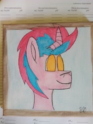 Size: 4608x3456 | Tagged: safe, artist:acid flask, imported from derpibooru, oc, oc:acid flask, zebra, zebracorn, 2d, art dump, canvas, drawing, happy, looking forward, male, paper, smiling, solo, stallion, traditional art, watercolor painting