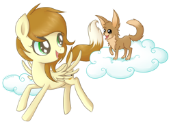 Size: 1160x838 | Tagged: safe, artist:ne-chi, imported from derpibooru, oc, pegasus, pony, animated, commission, open mouth, pegasus oc, simple background, transparent background