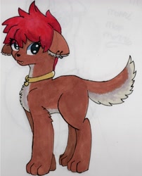 Size: 3460x4280 | Tagged: safe, artist:backgroundpony#f352, derpibooru exclusive, imported from derpibooru, oc, oc only, dog, pony, clothes, ear piercing, earring, female, fluffy tail, jewelry, looking at you, mare, marker drawing, necklace, piercing, red hair, simple background, solo, tail, traditional art, white background