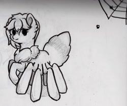 Size: 3839x3208 | Tagged: safe, artist:backgroundpony#f352, derpibooru exclusive, imported from derpibooru, oc, oc only, arachnid, fly, insect, monster pony, original species, spider, spiderpony, cute, eyes open, female, grayscale, looking sideways, mare, monochrome, simple background, spider web, white background