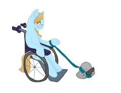 Size: 3300x2550 | Tagged: safe, artist:mistylake, imported from derpibooru, oc, oc only, pony, female, pet rock, simple background, solo, transparent background, wheelchair