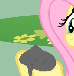Size: 394x402 | Tagged: safe, imported from derpibooru, screencap, fluttershy, a bird in the hoof, offscreen character