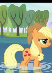 Size: 275x385 | Tagged: safe, imported from derpibooru, screencap, applejack, keep calm and flutter on