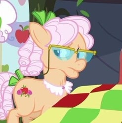 Size: 268x271 | Tagged: safe, imported from derpibooru, screencap, apple rose, earth pony, pony, apple family reunion, female, frown, glasses, mare, offscreen character, quilt, solo focus