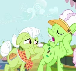 Size: 387x360 | Tagged: safe, imported from derpibooru, screencap, auntie applesauce, granny smith, earth pony, pony, apple family reunion, cropped, duo, female, mare, open mouth, visor cap