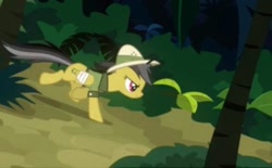 Size: 448x278 | Tagged: safe, imported from derpibooru, screencap, daring do, pegasus, pony, read it and weep, bandage, bandaged wing, cropped, running, solo, wings