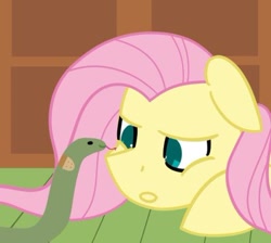 Size: 400x359 | Tagged: safe, artist:fluttershydaily, imported from derpibooru, fluttershy, snake, bandaid, fluttershy's cottage, lying on floor, simple background, talking