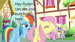 Size: 1280x720 | Tagged: safe, edit, edited screencap, imported from derpibooru, screencap, dinky hooves, fluttershy, rainbow dash, earth pony, pegasus, pony, unicorn, flutter brutter, caption, eyes closed, facehoof, female, filly, foal, image macro, mare, text, wtf