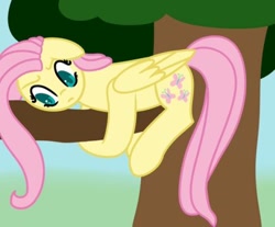 Size: 400x331 | Tagged: safe, artist:fluttershydaily, imported from derpibooru, fluttershy, floppy ears, in a tree, scared, tree, tree branch