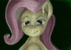 Size: 1600x1133 | Tagged: safe, artist:obsequiosity, imported from derpibooru, fluttershy, pegasus, pony, female, solo