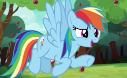 Size: 648x401 | Tagged: safe, imported from derpibooru, screencap, rainbow dash, pegasus, pony, buckball season, apple, food, solo