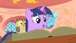 Size: 1280x720 | Tagged: safe, imported from derpibooru, screencap, owlowiscious, twilight sparkle, owl's well that ends well, book, golden oaks library