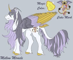 Size: 703x579 | Tagged: safe, imported from derpibooru, oc, pony, concave belly, large wings, long mane, long tail, reference sheet, solo, tail, wings