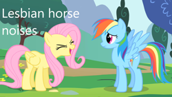 Size: 1280x720 | Tagged: safe, edit, edited screencap, imported from derpibooru, screencap, fluttershy, rainbow dash, pegasus, pony, sonic rainboom (episode), caption, descriptive noise, duo, female, flutterdash, flutteryay, horse noises, image macro, lesbian, shipping, text