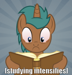 Size: 500x521 | Tagged: safe, artist:kishmond, artist:lahirien, imported from derpibooru, oc, oc only, oc:gadget (lahirien), unicorn, animated, bags under eyes, book, gif, meme, reading, studying, tired, vibrating, x intensifies