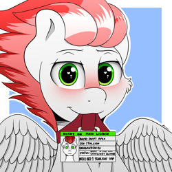 Size: 2000x2000 | Tagged: safe, artist:h3nger, imported from derpibooru, oc, oc:swift apex, pegasus, pony, blushing, horny on main, id card, implied shipping, pegasus oc, simple background, solo, spread wings, wings