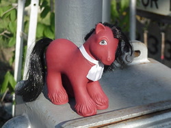 Size: 640x480 | Tagged: safe, artist:lonewolf3878, imported from derpibooru, earth pony, pony, ace attorney, big brother ponies, brushable, cravat, customized toy, g1, irl, male, miles edgeworth, photo, ponified, toy