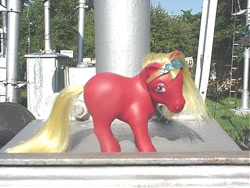 Size: 640x480 | Tagged: safe, artist:lonewolf3878, imported from derpibooru, earth pony, pony, ace attorney, brushable, customized toy, female, g1, irl, jewelry, photo, ponified, regina berry, tiara, toy