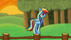 Size: 781x433 | Tagged: safe, artist:tami-kitten, imported from derpibooru, rainbow dash, pegasus, pony, female, fence, forest background, lookout, mare, perching, salute, solo, sunset