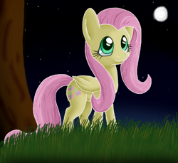 Size: 455x417 | Tagged: safe, artist:tami-kitten, imported from derpibooru, fluttershy, pegasus, pony, female, full moon, looking up, mare, moon, night, smiling, solo, starry night