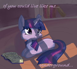 Size: 388x347 | Tagged: safe, artist:tami-kitten, imported from derpibooru, twilight sparkle, pony, unicorn, book, bookshelf, female, looking offscreen, lying down, mare, ponyloaf, prone, solo, text, unicorn twilight