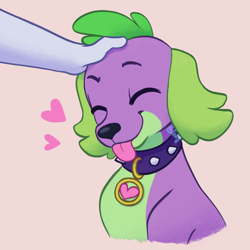Size: 1280x1280 | Tagged: safe, artist:flightless-fox, imported from derpibooru, spike, dog, equestria girls, collar, eyes closed, hand, head pat, male, pat, simple background, spike the dog, tongue out