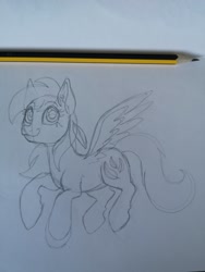 Size: 1536x2048 | Tagged: safe, artist:art_alanis, imported from derpibooru, feathermay, pegasus, pony, solo, traditional art