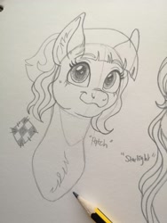 Size: 1536x2048 | Tagged: safe, artist:art_alanis, imported from derpibooru, patch (g1), pony, my little pony tales, g1, solo, traditional art