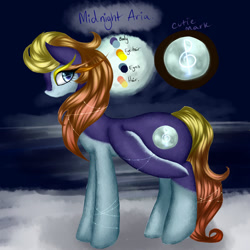 Size: 1024x1024 | Tagged: safe, artist:kinjareta, imported from derpibooru, oc, oc only, oc:midnight aria, bird, penguin, blurry background, female, looking at you, mare, multicolored coat, penguin pony, reference sheet, side view, solo