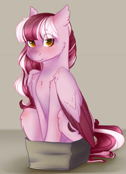 Size: 1446x2001 | Tagged: safe, artist:mantequiademani, imported from derpibooru, oc, oc only, oc:dusty ember, pegasus, pony, box, female, if i fits i sits, mare, pony in a box, simple background, solo