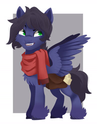 Size: 1402x1808 | Tagged: safe, artist:irusumau, imported from derpibooru, oc, oc only, oc:fenris ebonyglow, pegasus, pony, solo