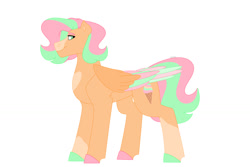 Size: 1280x854 | Tagged: safe, artist:itstechtock, imported from derpibooru, oc, oc:rainbow sherbet, pegasus, colored wings, female, mare, multicolored wings, simple background, solo, white background, wings