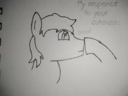 Size: 4160x3120 | Tagged: safe, artist:valuable ashes, imported from derpibooru, earth pony, pony, boop, solo, traditional art