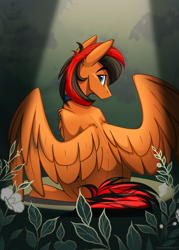 Size: 1398x1949 | Tagged: safe, artist:alrumoon_art, imported from derpibooru, oc, oc only, oc:winged whisper, pegasus, pony, blue eyes, collar, flower, leaves, male, simple background, solo, stallion, tail, two toned mane, two toned tail, wings