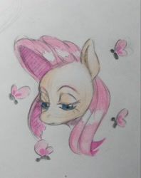 Size: 650x819 | Tagged: safe, artist:kotle1ka, imported from derpibooru, fluttershy, butterfly, simple background, solo, traditional art, white background