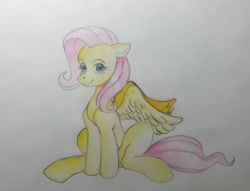 Size: 1157x886 | Tagged: safe, artist:kotle1ka, imported from derpibooru, fluttershy, pegasus, pony, simple background, sitting, solo, traditional art, white background