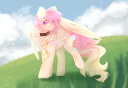 Size: 1600x1100 | Tagged: safe, artist:cofiiclouds, imported from derpibooru, oc, oc only, pegasus, pony, cloud, collar, grass, sky, solo