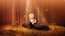 Size: 3840x2160 | Tagged: safe, artist:drakesparkle44, artist:slb94, edit, imported from derpibooru, fluttershy, pegasus, pony, falling leaves, female, forest, irl, leaves, lighting, looking at you, mare, photo, ponies in real life, rock, shadow, sitting, smiling, smiling at you, solo, tree, wallpaper, wallpaper edit, watermark