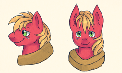 Size: 1000x600 | Tagged: safe, artist:cloudbrownie, imported from derpibooru, big macintosh, earth pony, pony, bust, front view, male, side view, simple background, smiling, solo, stallion