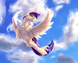 Size: 1540x1242 | Tagged: safe, artist:thatonegib, imported from derpibooru, oc, oc only, pegasus, cloud, commission, flying, looking up, multicolored hair, short mane, sky, smiling, solo, spread wings, unshorn fetlocks, wings, ych result