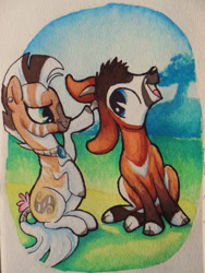 Size: 600x798 | Tagged: safe, artist:peachykeenponies, imported from derpibooru, oc, oc only, oc:bakari, oc:nia, antelope, quagga, zebra, cloven hooves, duo, outdoors, traditional art, watercolor painting