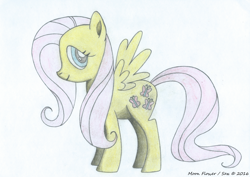 Size: 7016x4980 | Tagged: safe, artist:moon flower, imported from derpibooru, fluttershy, butterfly, insect, pegasus, pony, series:moon flower's fluttershy, 2016, absurd resolution, arthropod, colored, colored pencil drawing, cutie mark, drawing, equine, fanart, female, fur, furbooru exclusive, hair, hasbro, hooves, looking at you, mammal, mane, mare, my little pony, pencil, pencil drawing, pink hair, pink tail, side view, signature, simple background, smiling, solo, spread wings, standing, stock vector, tail, traditional art, tutorial result, white background, wings, yellow fur