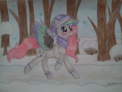 Size: 960x720 | Tagged: safe, artist:dexterisse, imported from derpibooru, oc, oc only, oc:lutineill, pegasus, clothes, outdoors, pegasus oc, scarf, snow, solo, traditional art